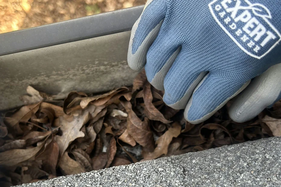 Gutter Cleaning Rocky River