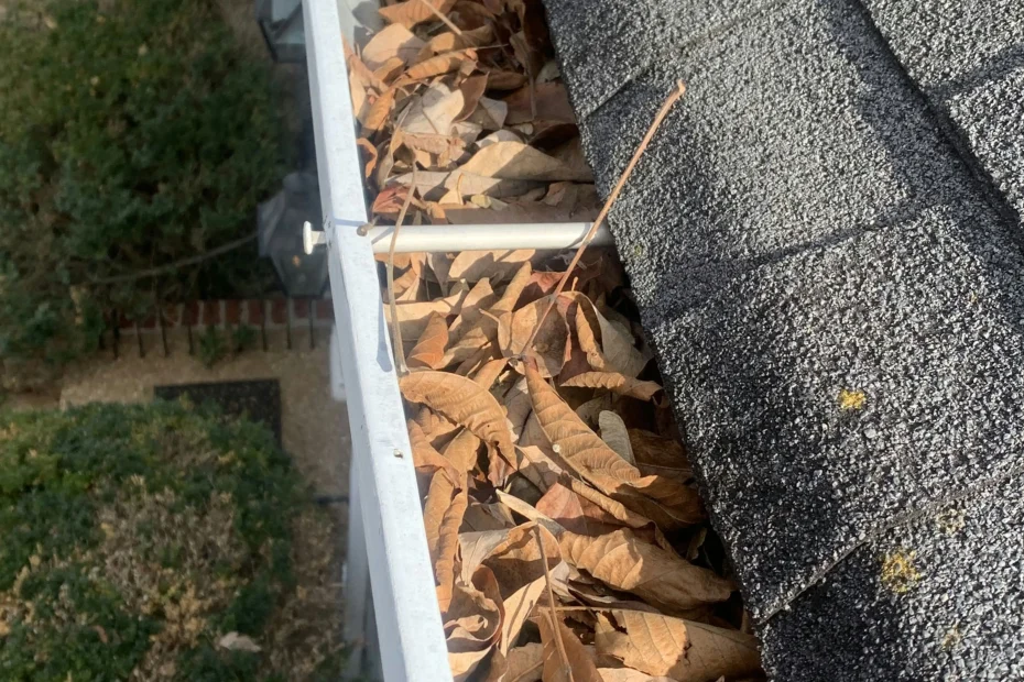 Gutter Cleaning Rocky River